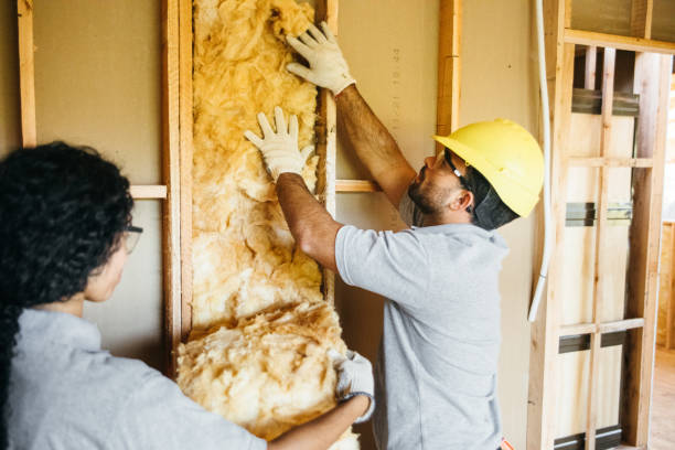 Best Garage Insulation Installation  in Pajaro, CA