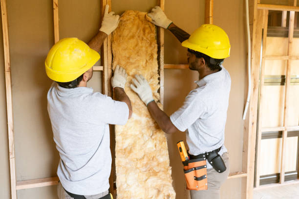 Best Cellulose Insulation  in Pajaro, CA